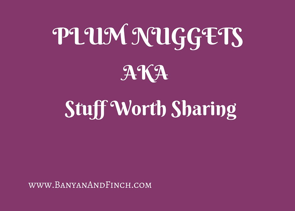 Plum Nuggets: Horse Gallops, Stilettos, Astronauts & More :)